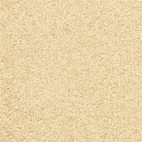 Morgan Bay Flooring by Masland Carpets