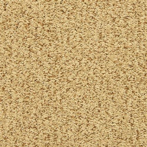 Sea Grass Flooring by Masland Carpets