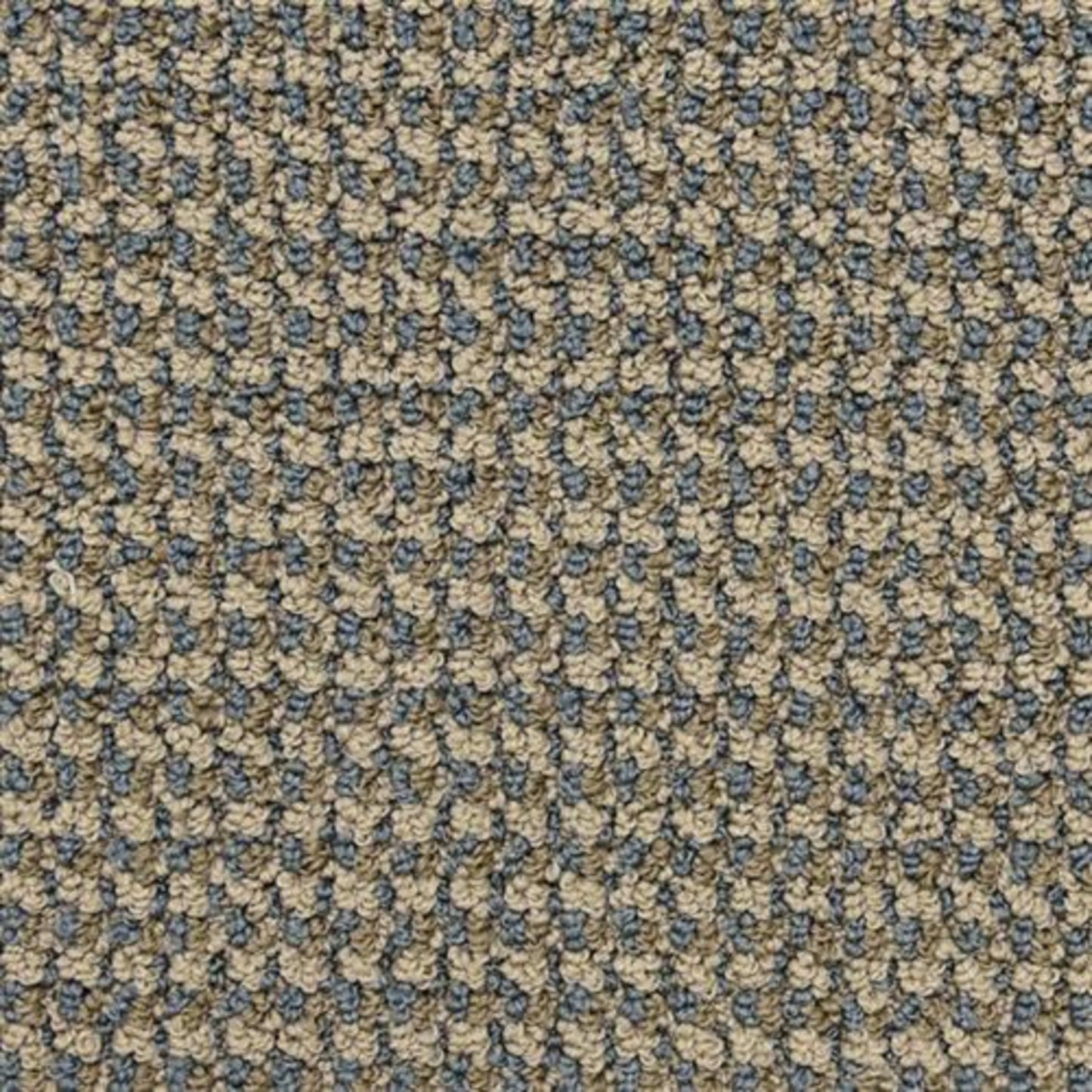 Tango in Pirouette Carpet