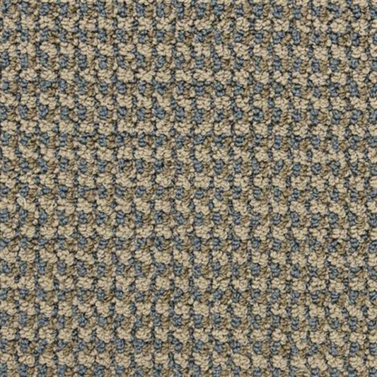 Tango in Pirouette Carpet