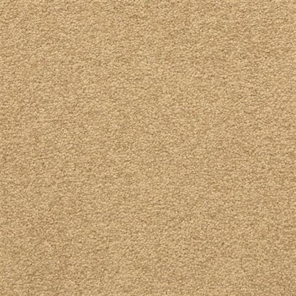 Patriot Flooring by Masland Carpets
