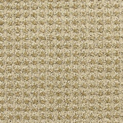Alpha in Volts Carpet