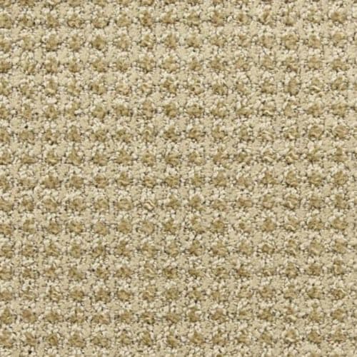 Alpha in Volts Carpet