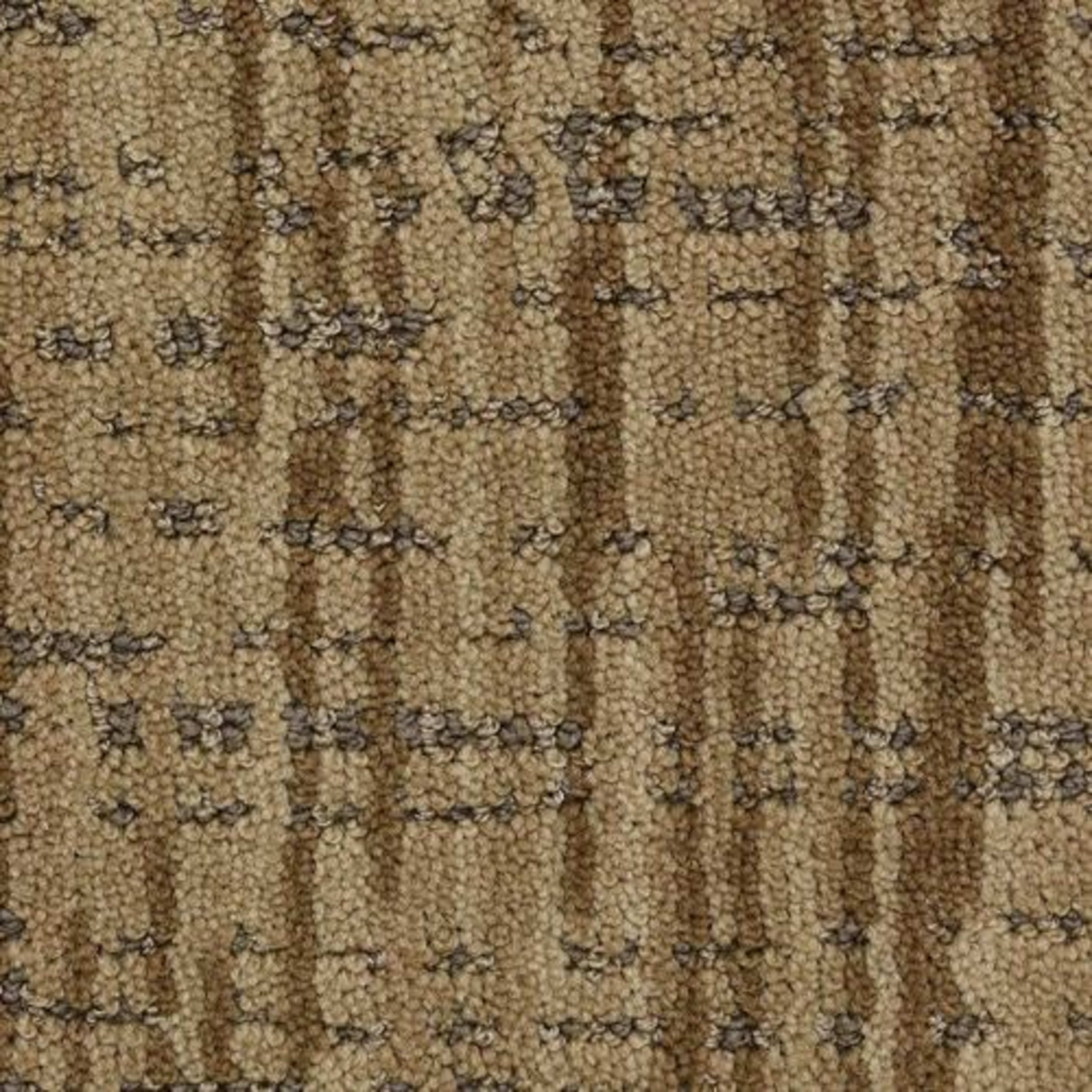 Zing in Ardor Carpet