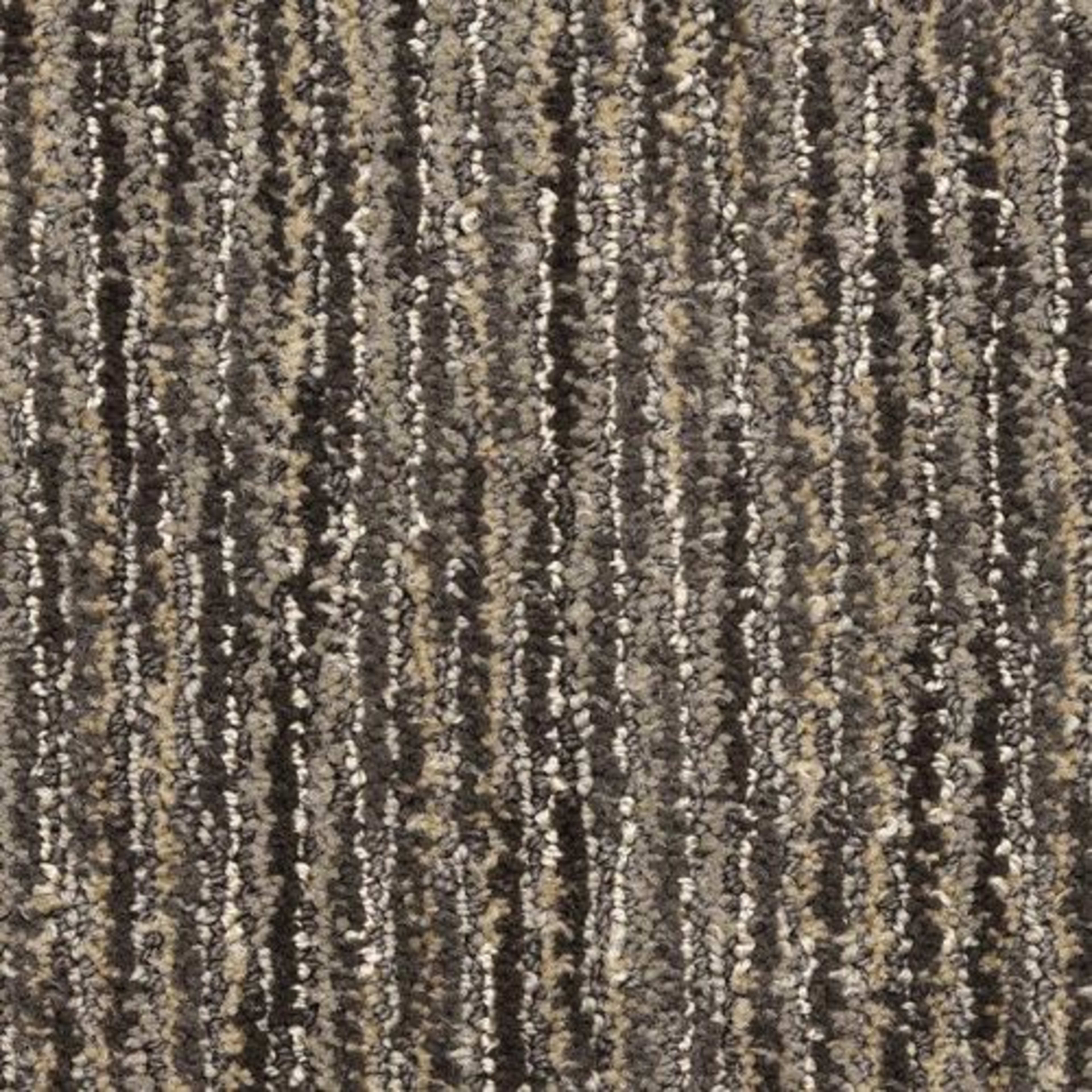 Vivacity in Power Carpet