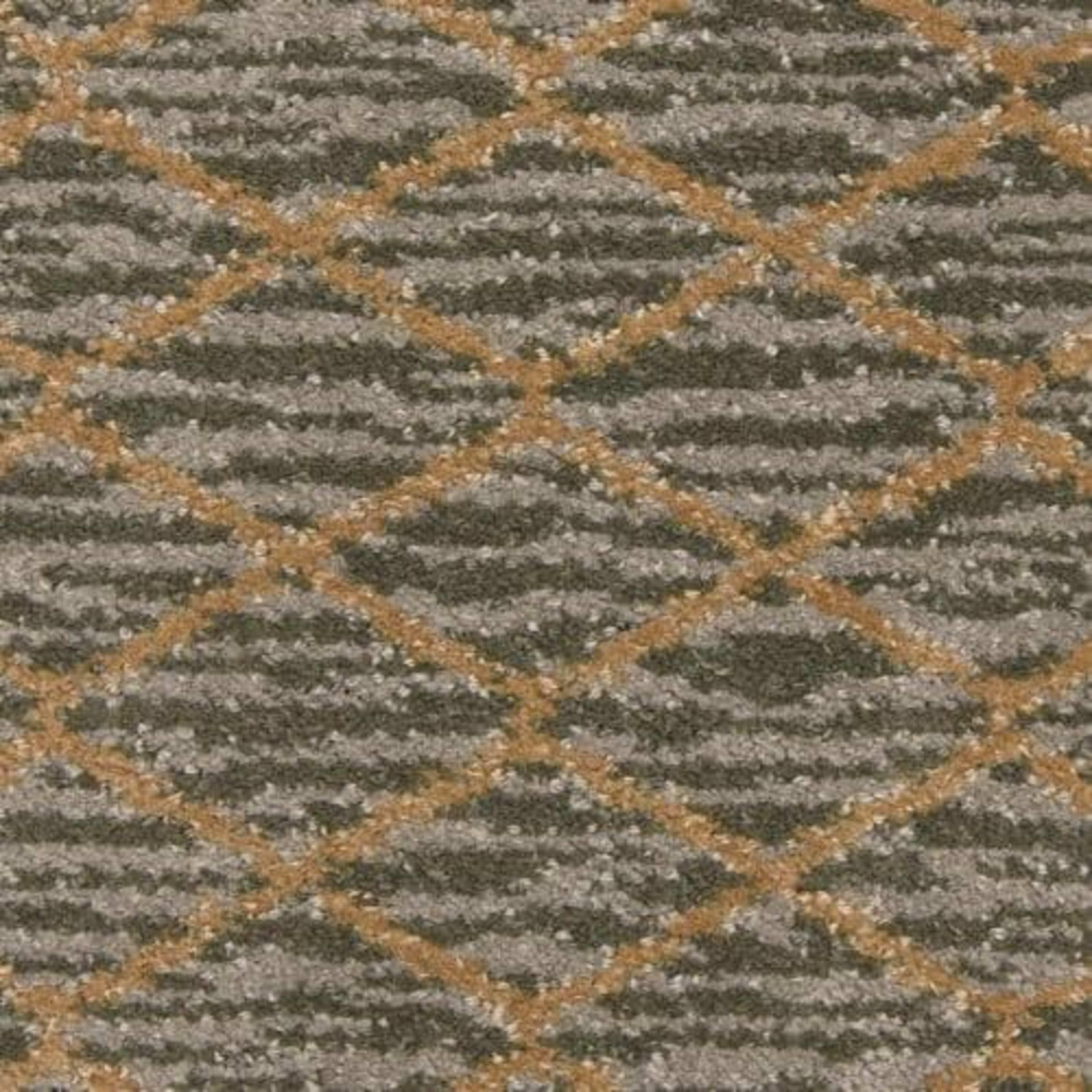Mantra in Immanence Carpet