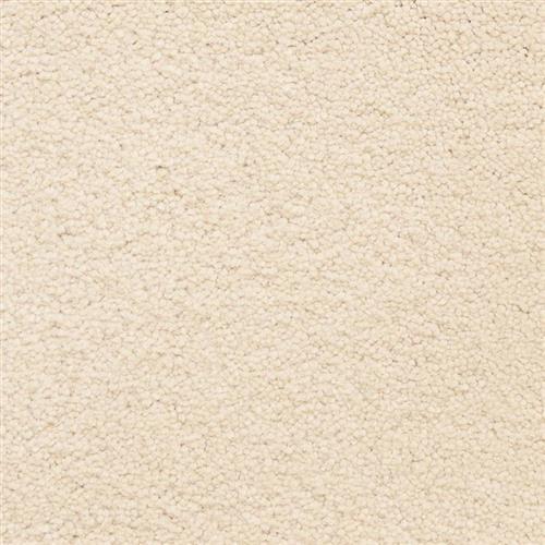 Ravishing Flooring by Masland Carpets