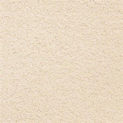 Ravishing Flooring by Masland Carpets