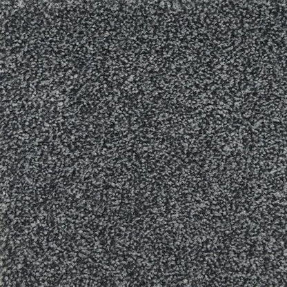 Delray Flooring by Masland Carpets