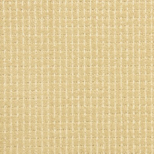 Bungalow in Front Porch Carpet