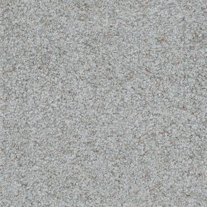 Boca Raton in Never Ending Carpet