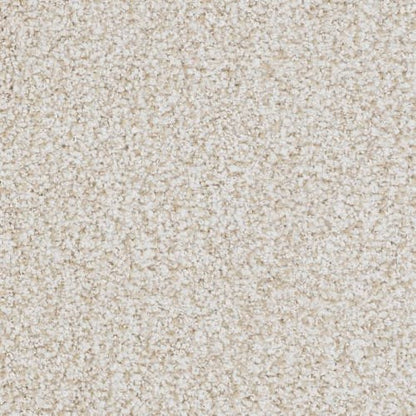 St. Augustine Flooring by Masland Carpets