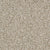 St. Augustine in Unwavering Carpet