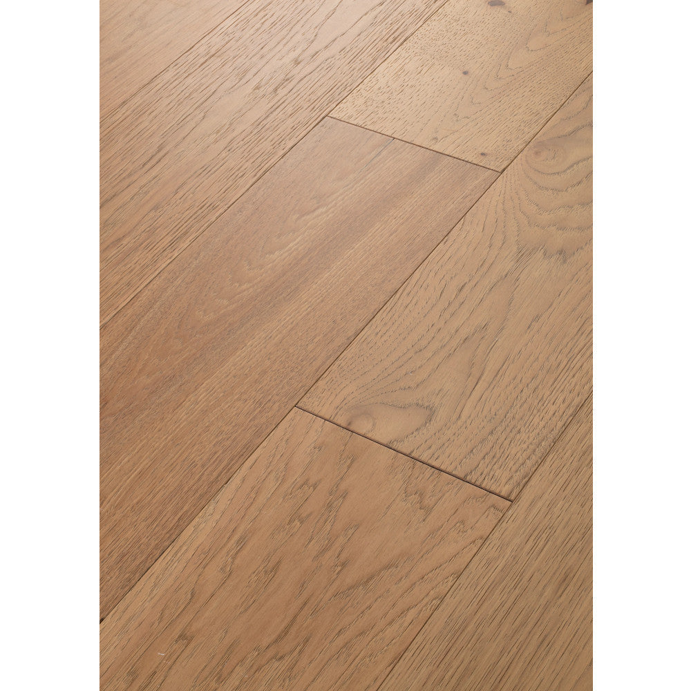 Argonne Forest Hickory