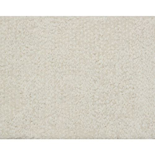 Dynamo in Cream Carpet