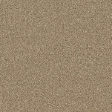 Pioneer in Carpet Flooring