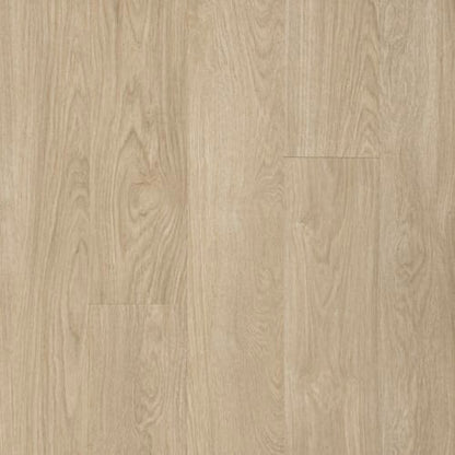 Footpath 20 Db in Biloba Wood