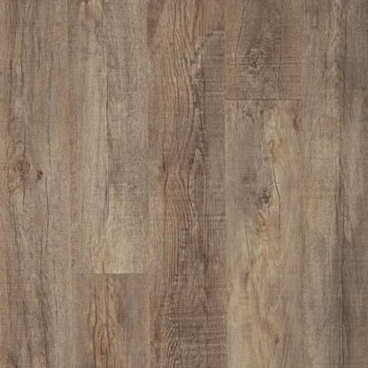 Footpath 20 Db in Barnwood Wood