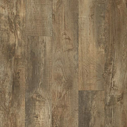 Footpath 20 Db in Autumn Gold Wood