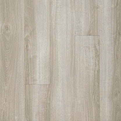 Footpath 20 Db in Silver Fox Wood