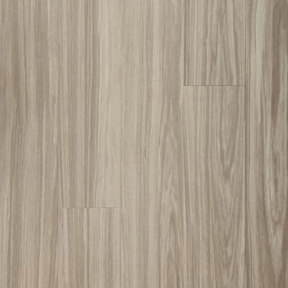 Footpath 20 Db in Burberry Wood