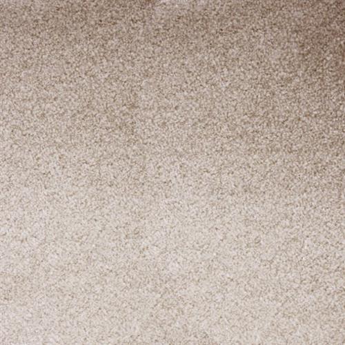 Atelier Marquee - Starry Night