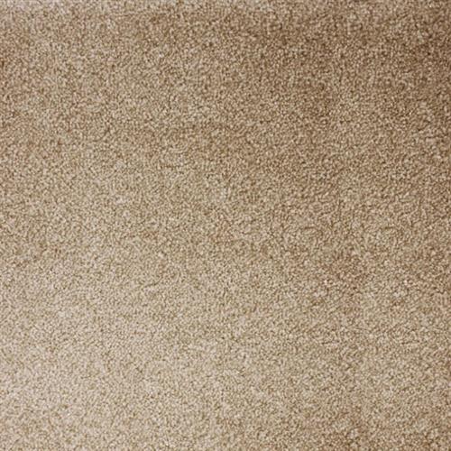 Atelier Marquee - Starry Night