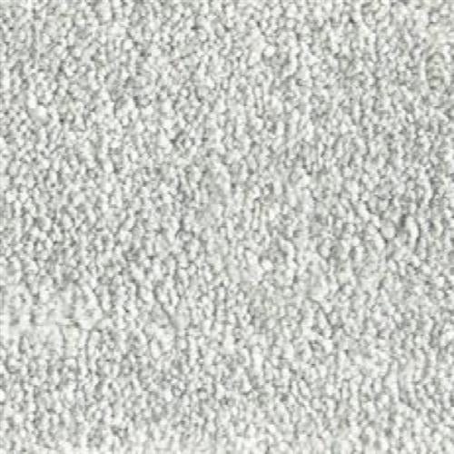 Atelier Marquee - Velveteen in Dove Carpet