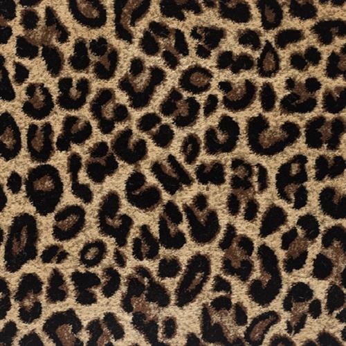 Angora in Peruvian Tiger Carpet