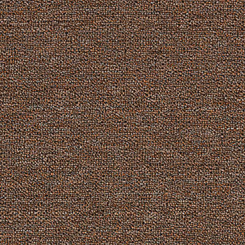 Rule Breaker 20 in Chestnut Carpet