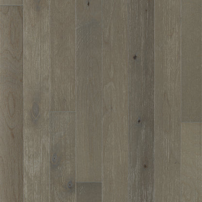 Ashling Betula in Infatuation