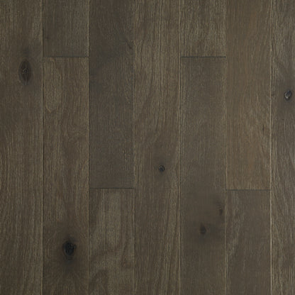 Ashling Betula in Infatuation Hardwood
