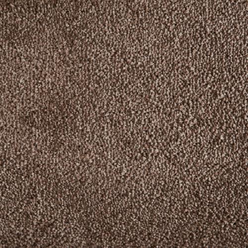 Avantgarde - Shaggy Grove in Taupe Carpet