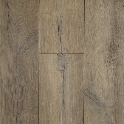 Anew Oak in Discerning