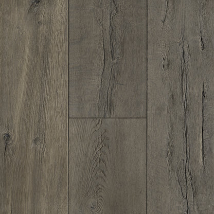 Anew Oak in Discerning