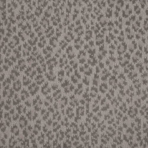 Adventure in Taupe Carpet