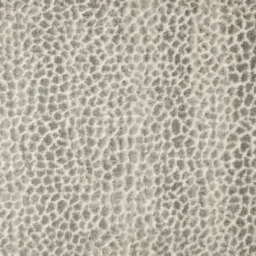 Allegory in Silverfox Carpet