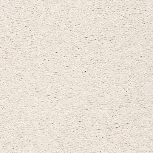 Dazzling Statement in Antique Ivory Carpet