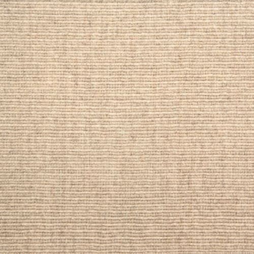 Arrieta in Seashell Carpet