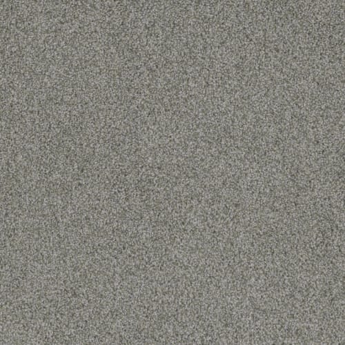 Crown Garden I in Aspen White Carpet