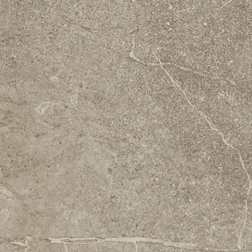Rooted