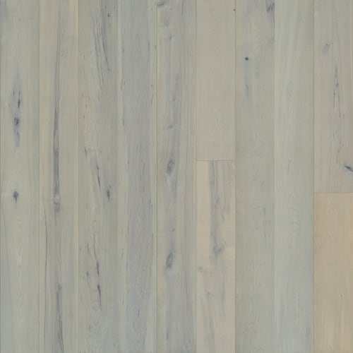 Avenue Collection