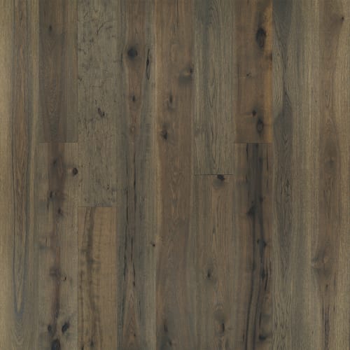 Avenue Collection