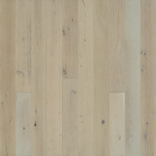 Avenue Collection
