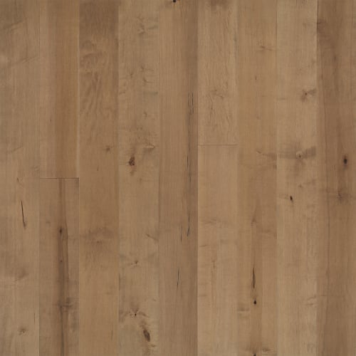 Avenue Collection