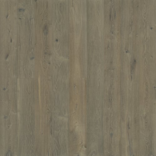 Avenue Collection