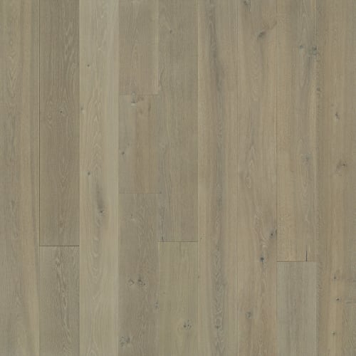 Avenue Collection