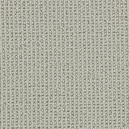 Williston in Mist Carpet