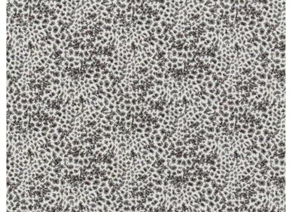 Wildlife II