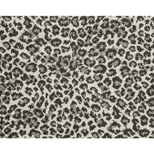 Wildlife in Pepper Carpet
